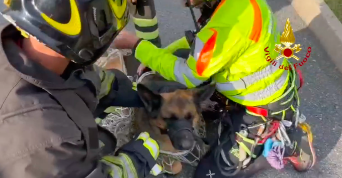 Si perde sulla via del Sale con il suo pastore tedesco, salvata insieme al cane grazie ad altri due escursionisti