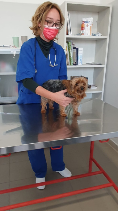 Alessandria, A.T.A. gestisce l’ambulatorio veterinario in collaborazione con il Comune