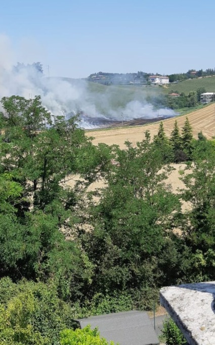 Incendio a Valmadonna, prende fuoco un campo di frumento: sul posto i Vigili del Fuoco