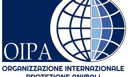Aperte le iscrizioni al corso Oipa per guardie venatorie in provincia di Alessandria