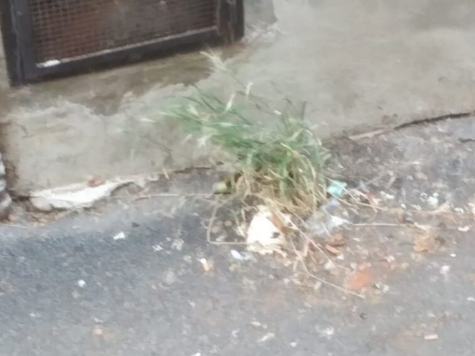 Strade sporche in centro città a Valenza, la segnalazione di una telespettatrice