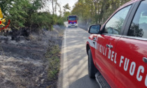 Circoscritto l’incendio di vegetazione che ha interessato alcune aree a Novi Ligure
