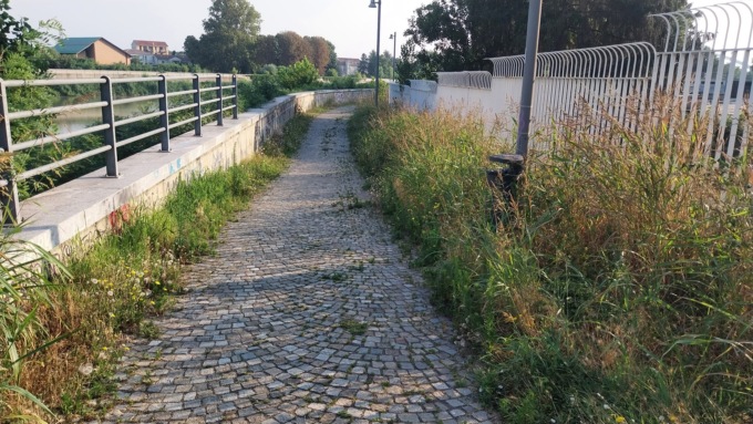 Erba altra lungo la passeggiata tra il ponte Tiziano e Meier: la segnalazione di un cittadino