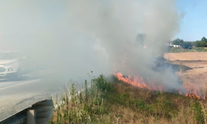 Fiamme sulla statale 30 in zona Cassine: sul posto i Vigili del Fuoco