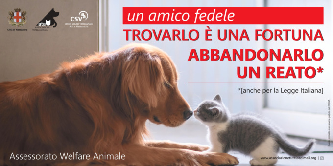 Alessandria: una campagna per sensibilizzare contro l’abbandono degli animali
