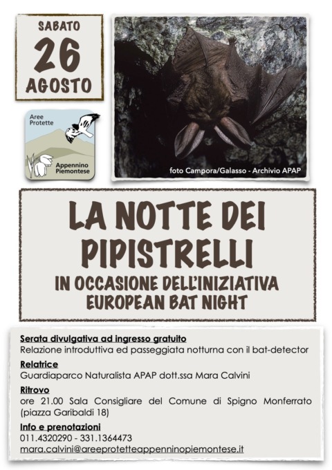 Alessandria, gli eventi in programma in provincia sabato 26 agosto