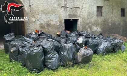 Ditta abbandona in un campo a Stazzano ben 49 sacchi con scarti edili