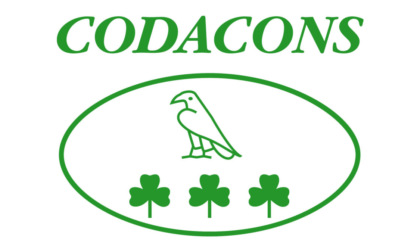 Cane abbandonato a Venaria Reale, Codacons presenta denuncia in Procura