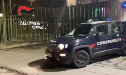 Operazione antidroga Torino: denunciata una famiglia di tre persone per coltivazione di marijuana
