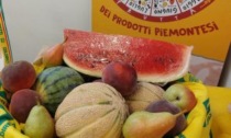 Frutta, Coldiretti: "Tra clima pazzo e insetti alieni crolla la produzione"