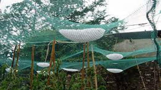 Piemonte: al via i bandi regionali per reti antigrandine e impianti antigelo