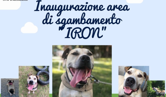 Ad Alessandria una nuova area per far sentire un po’ più liberi gli ospiti del canile