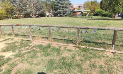 Alessandria, sacchetti per cani ai giardini di corso IV Novembre