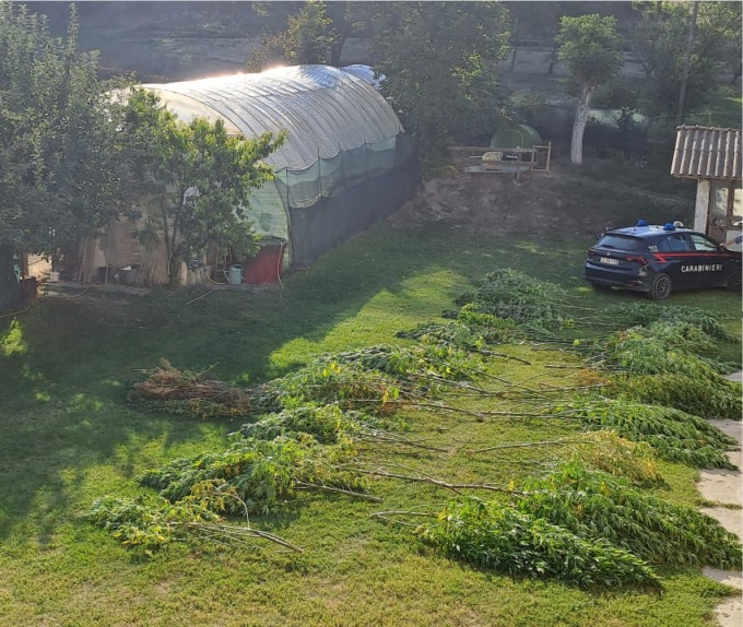 Nizza Monferrato, arrestato un 63enne per coltivazione di marijuana