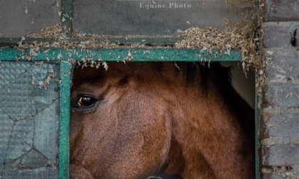 Alessandria, sabato 9 settembre inaugurazione della mostra fotografica "Different view"