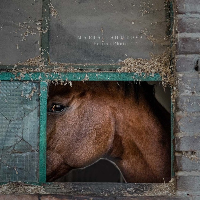 Alessandria, sabato 9 settembre inaugurazione della mostra fotografica “Different view”