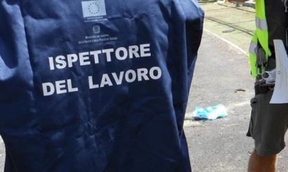 Lavoratrici in nero in una panetteria di Alessandria: sospesa l'attività