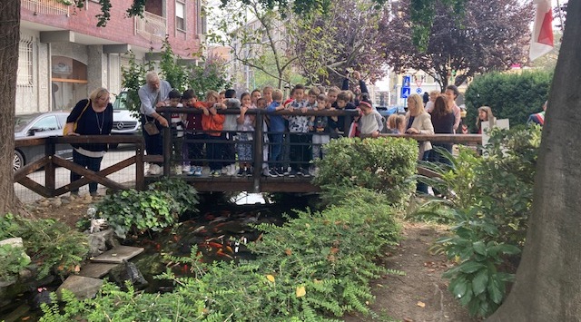 Riqualificato il laghetto di corso IV Novembre, “casa” di pesci e tartarughe