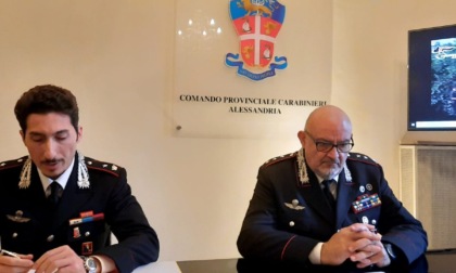 I carabinieri sequestrano a Pietra Marazzi una piantagione di mezzo ettaro di cannabis