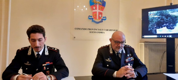 I carabinieri sequestrano a Pietra Marazzi una piantagione di mezzo ettaro di cannabis
