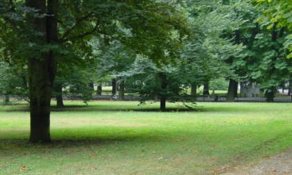 Giornata Nazionale degli alberi: a Casale Monferrato donazioni e nuove iniziative