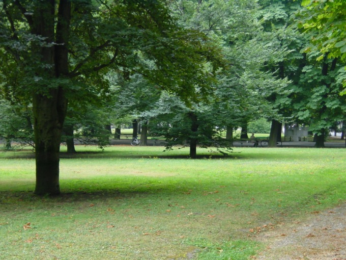 Giornata Nazionale degli alberi: a Casale Monferrato donazioni e nuove iniziative