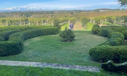 La Festa dell'Agricoltura nelle dimore storiche domenica 12 sarà alla Tenuta La Marchesa di Novi