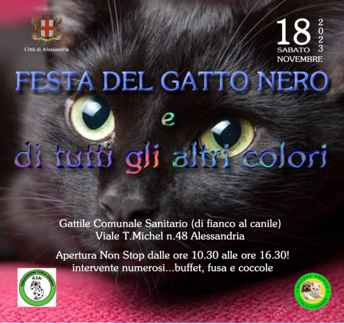 Sabato 18 novembre, al Gattile Comunale di Alessandria, la “Festa del Gatto Nero”
