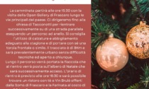 Frascaro, sabato 16 la Fiaccolata di Natale in piazza Rangone