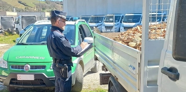 Casale, Carabinieri Forestali multano 2 aziende per trasporto irregolare di rifiuti