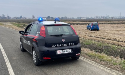 SP 25, auto fuori strada tra Morano sul Po e Balzola