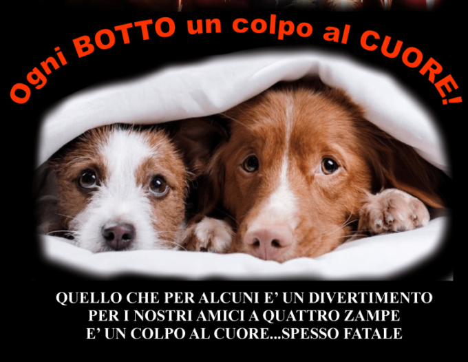 Anche quest’anno ad Alessandria torna la campagna contro i botti di Capodanno