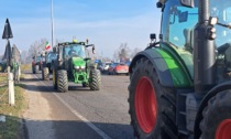 Agricoltori in protesta, bloccata l'autostrada di Alessandria