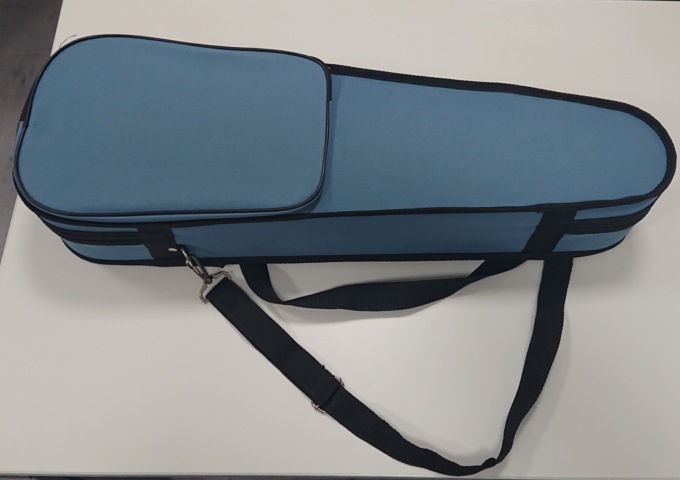 Trovato violino sul treno Torino-Alba: il proprietario deve rivolgersi alla Polizia Municipale