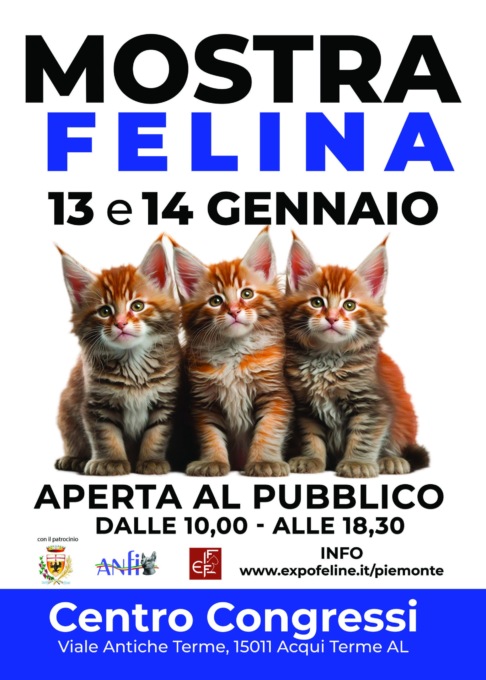 Alessandria, gli eventi in programma in provincia sabato 13 gennaio