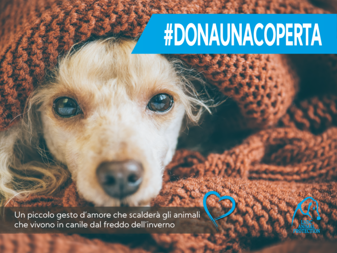 Alessandria, al via la Campagna 2024 della LNDC per proteggere animali da freddo