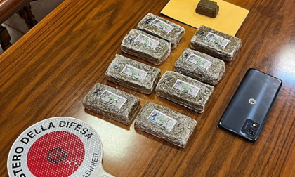 Quasi 1 kg di hashish nascosto nel boschetto: arrestato uomo dai Carabinieri di Alessandria