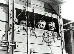 Giorno della Memoria, ad Alessandria una serie di iniziative per ricordare le vittime dell’Olocausto
