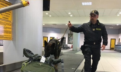 Guardia di Finanza: nel 2023 all'aeroporto di Torino intercettata valuta per circa 4,5 milioni di euro