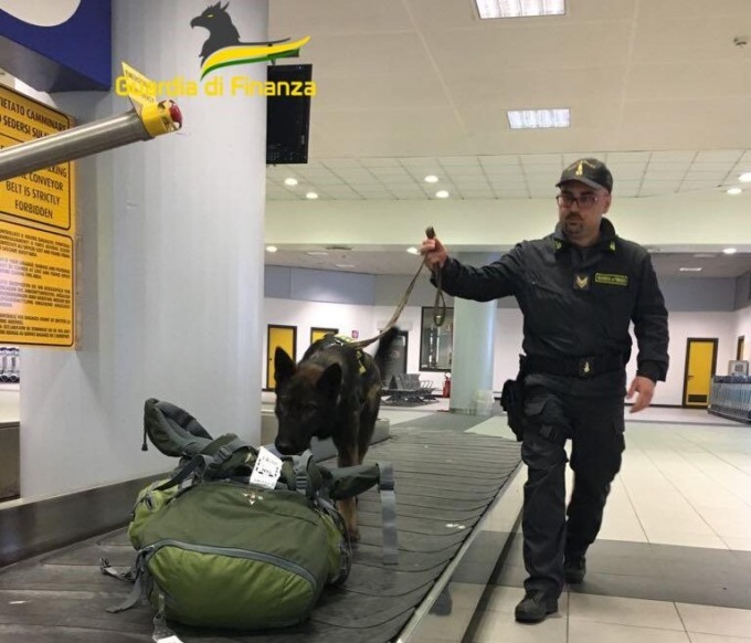 Guardia di Finanza: nel 2023 all’aeroporto di Torino intercettata valuta per circa 4,5 milioni di euro