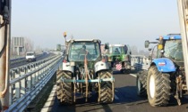 Agricoltori in protesta andranno a Sanremo