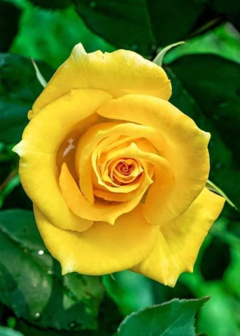 “Giornata dedicata alle donne” a Valenza