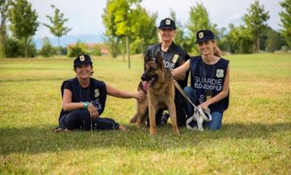 Alessandria: aperte le iscrizioni al corso per diventare guardia zoofila Oipa