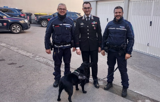 I carabinieri di Alessandria insieme all’Unità cinofila della Polizia locale per spaccio droga