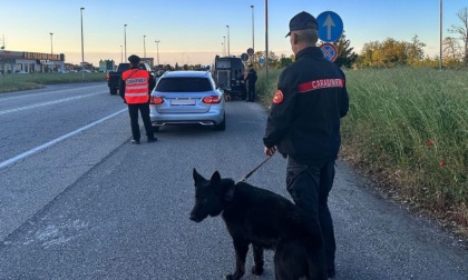 Novi Ligure, controlli straordinari dei Carabinieri