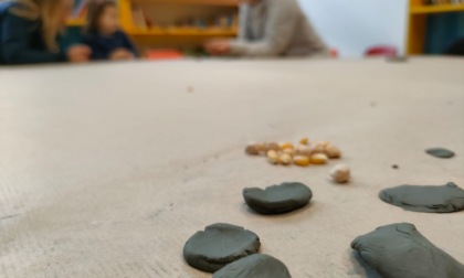 Giornata mondiale della Terra: "La natura è casa nostra, prendiamocene cura"