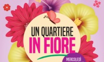 Alessandria: rinviato al 18 maggio l'evento "Un quartiere in fiore" al Cristo