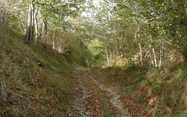 Tre milioni per i progetti di sviluppo della valli piemontesi Maira, Grana, Lanzo e Bormida