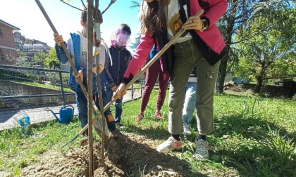 Piantato un "melo dell'amicizia" nel giardino della caserma dei Carabinieri di Vignale Monferrato