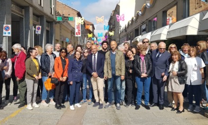 Anche via Dante ad Alessandria ha le sue farfalle